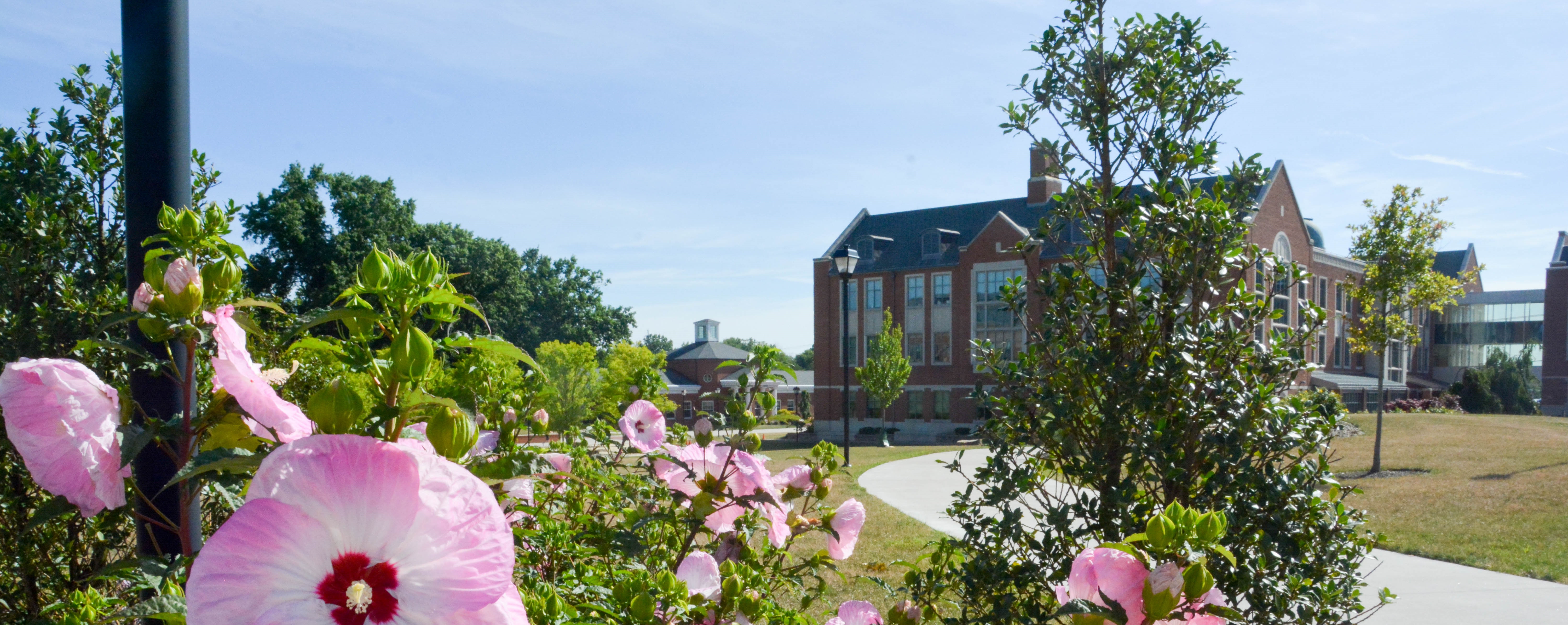 Mount Union大学 